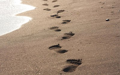 benefits-traceability